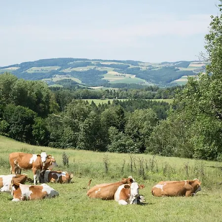 Krumbacherhof Zajazd Krumbach (Lower Austria)