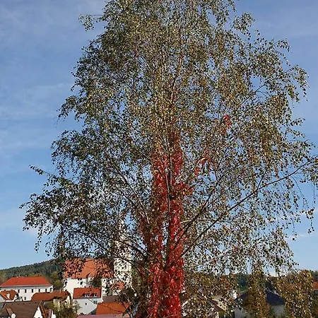 Krumbacherhof Fogadó Krumbach (Lower Austria)